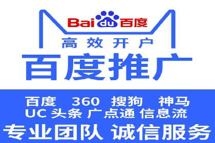 某电商平台的SEM广告投放策略及效果评估
